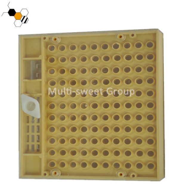 Queen Grafting Grid Box