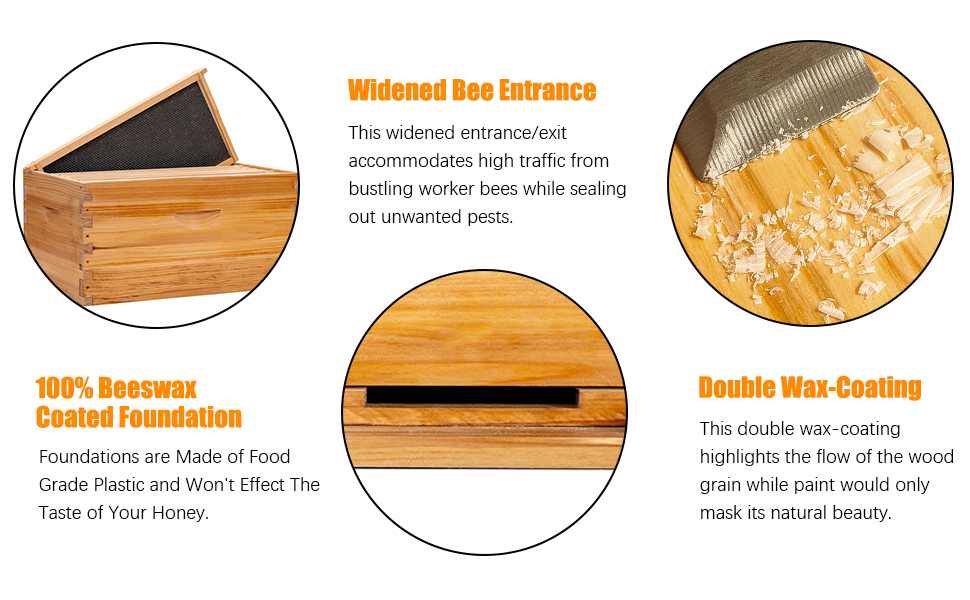 bee keeping starter kit