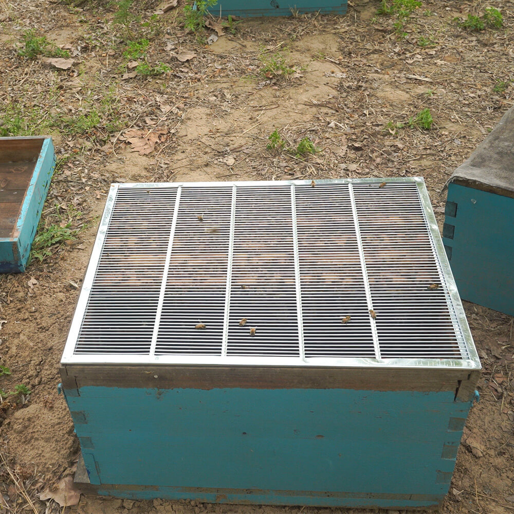 metal queen excluder 10 frame